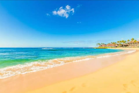 Upgraded, A/C, Ocean View, In Unit W/D, KP 248