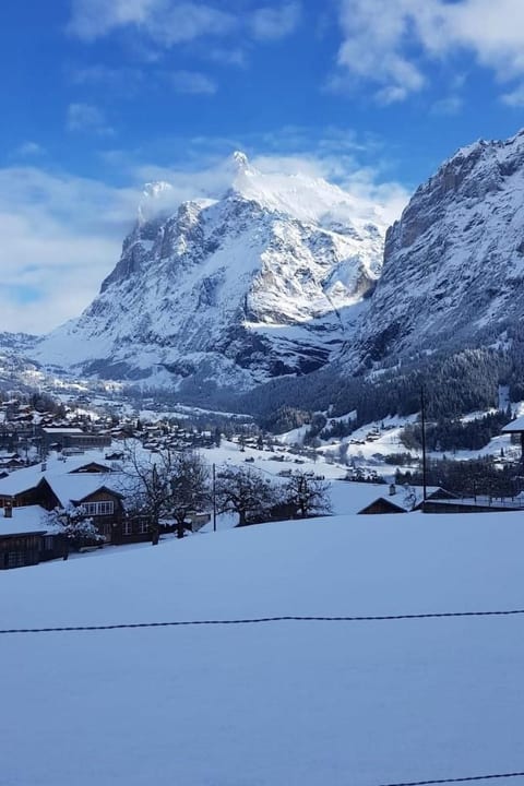 ChaletSwissalp Topof