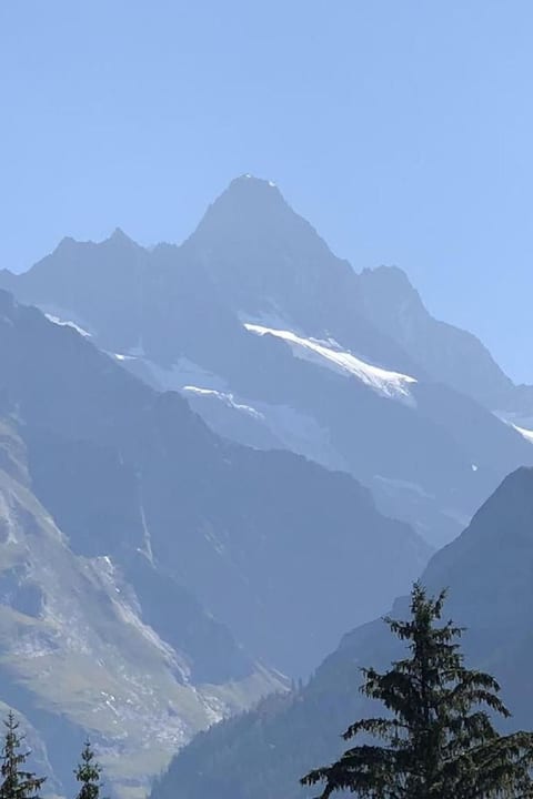 ChaletSwissalp Topof