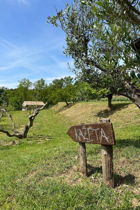 Kazeta