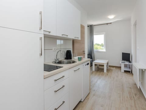 Apartment Budimir 6