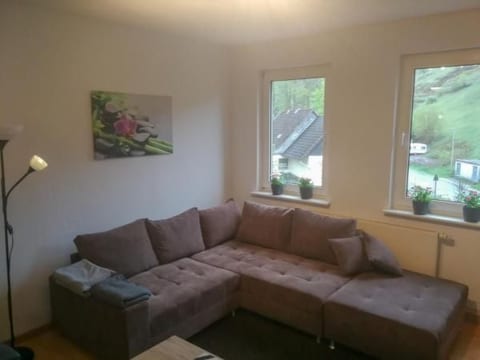 Gemütliche Wohnung in Lerbach mit Terrasse, Garten
