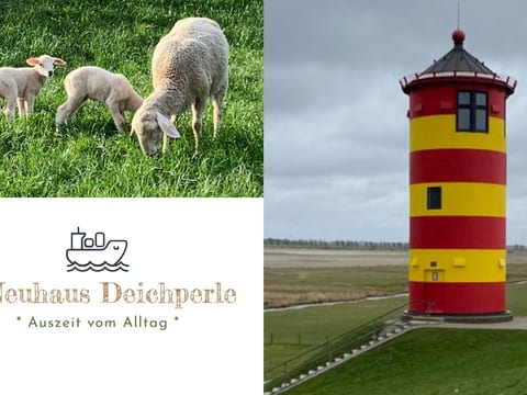 Neuhaus Deichperle