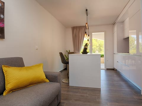Apartment Basic Vesna 1