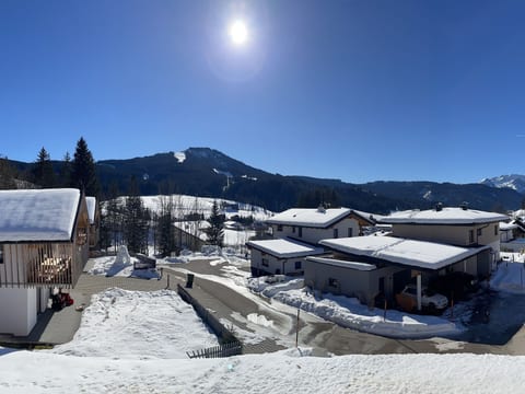 Dachstein Chalet Haus a