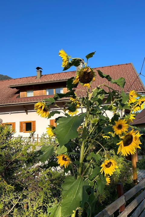 Haus Sunshine