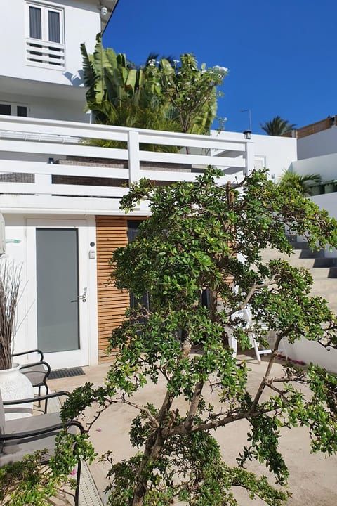 Studio S in jan Thiel Curacao am Tropical Pool.