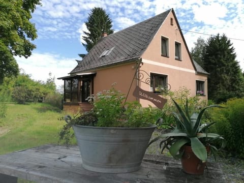 in Bad Brambach mit Großer Terrasse