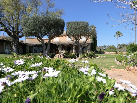 Finca Rustica Felostal