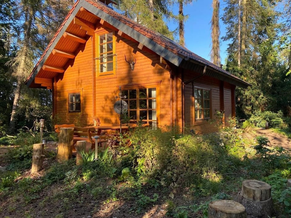 WaldhausEichhörnchen - Bad Schmiedeberg
