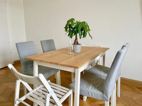 Spacious Apartment