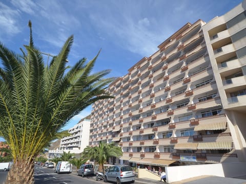 Appartement in Palm-Mar mit Großer Terrasse und Meerblick