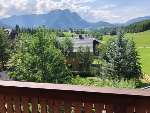Nette Wohnung in Bad Aussee mit Garten und Grill und Bergblick
