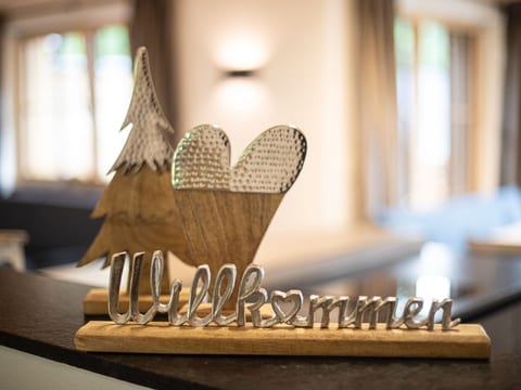 Dachstein Chalet Haus b
