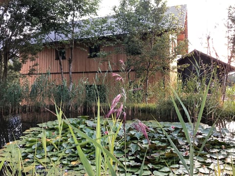 Tolle Wohnung in Bad Aussee mit Garten und Grill und Bergblick