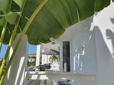Wohnung B2 in Jan Thiel Curacao