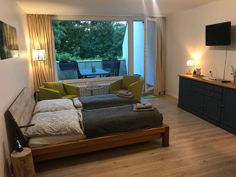 Entire apartment in Sankt Andreasberg with grill - Sankt Andreasberg