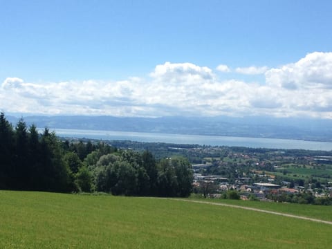FeWo in ruhiger Südhanglage