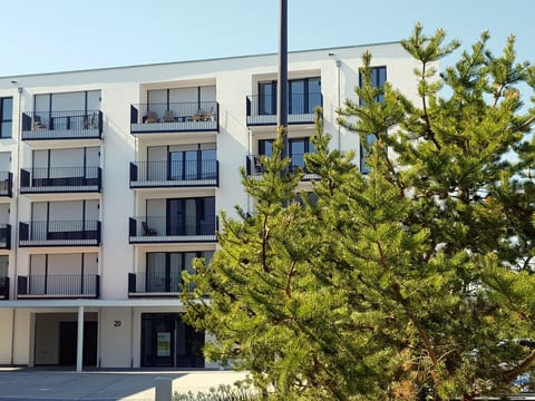 Komfortables Studio-Apartment Höchsten