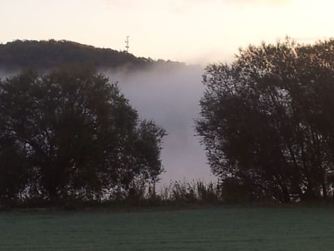 Elbufer