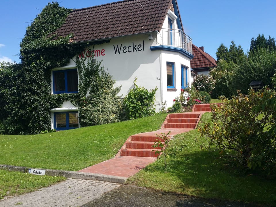 Elbufer - Marschacht