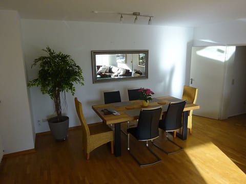 Großzügige Wohnung mit Terrasse und Rheintalblick