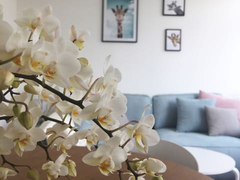 Schöne Moderne Ferienwohnung für 2-4 Personen + Hund in Sankt Andreasberg im Ob