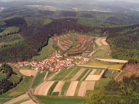 Kornblume