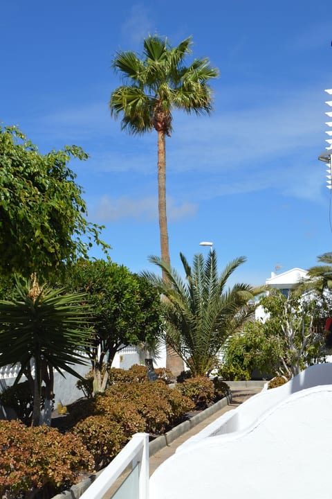 für 5 Personen ca. 65 m² in Puerto del Carmen, Lanzarote (Südküste von Lan