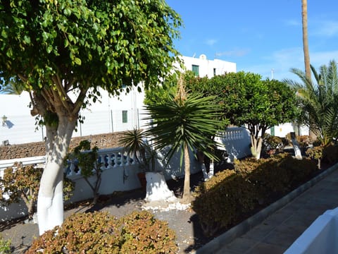 für 5 Personen ca. 65 m² in Puerto del Carmen, Lanzarote (Südküste von Lan