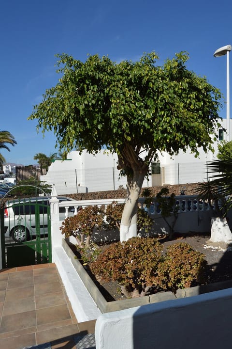 für 5 Personen ca. 65 m² in Puerto del Carmen, Lanzarote (Südküste von Lan