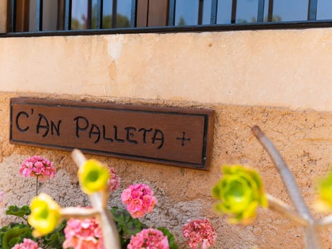 Palleta