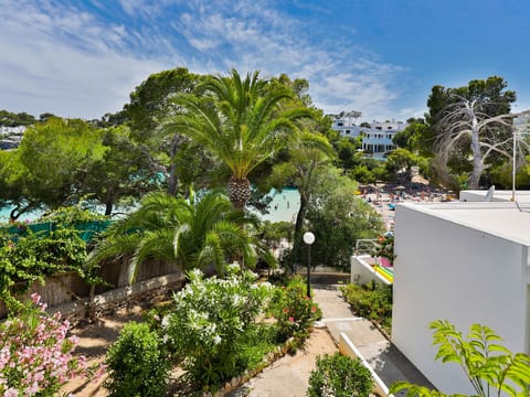 Playa Dor 18