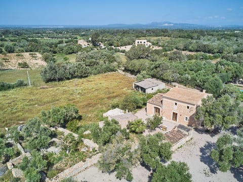 Galeri