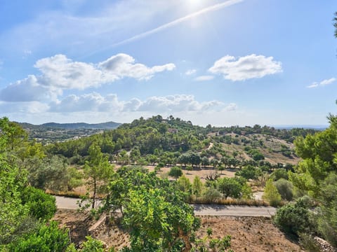 Puig de sa Figuera