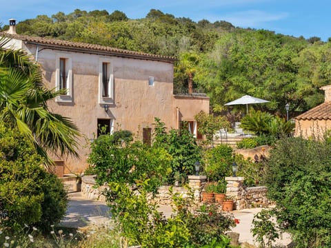 Cavea