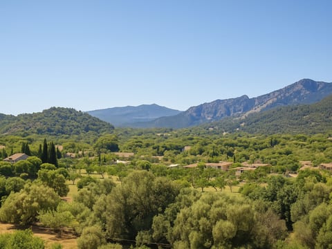 Urlaub Finca Mallorca Brücke