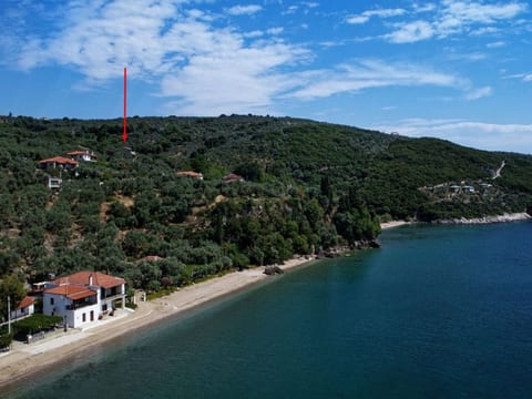 Tsorni