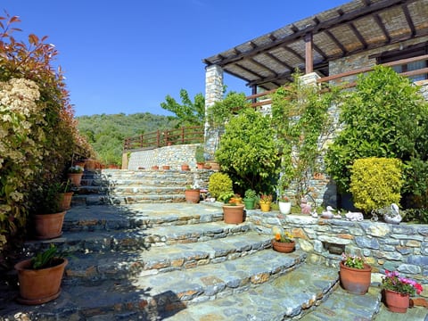 Anthyllion Villa Pelion mit Meerblick Anemone