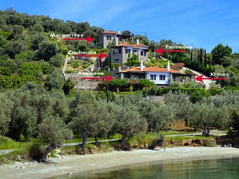 Anthyllion Villa Pelion mit Meerblick Anemone
