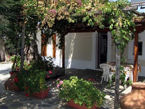 Niki Studios 3