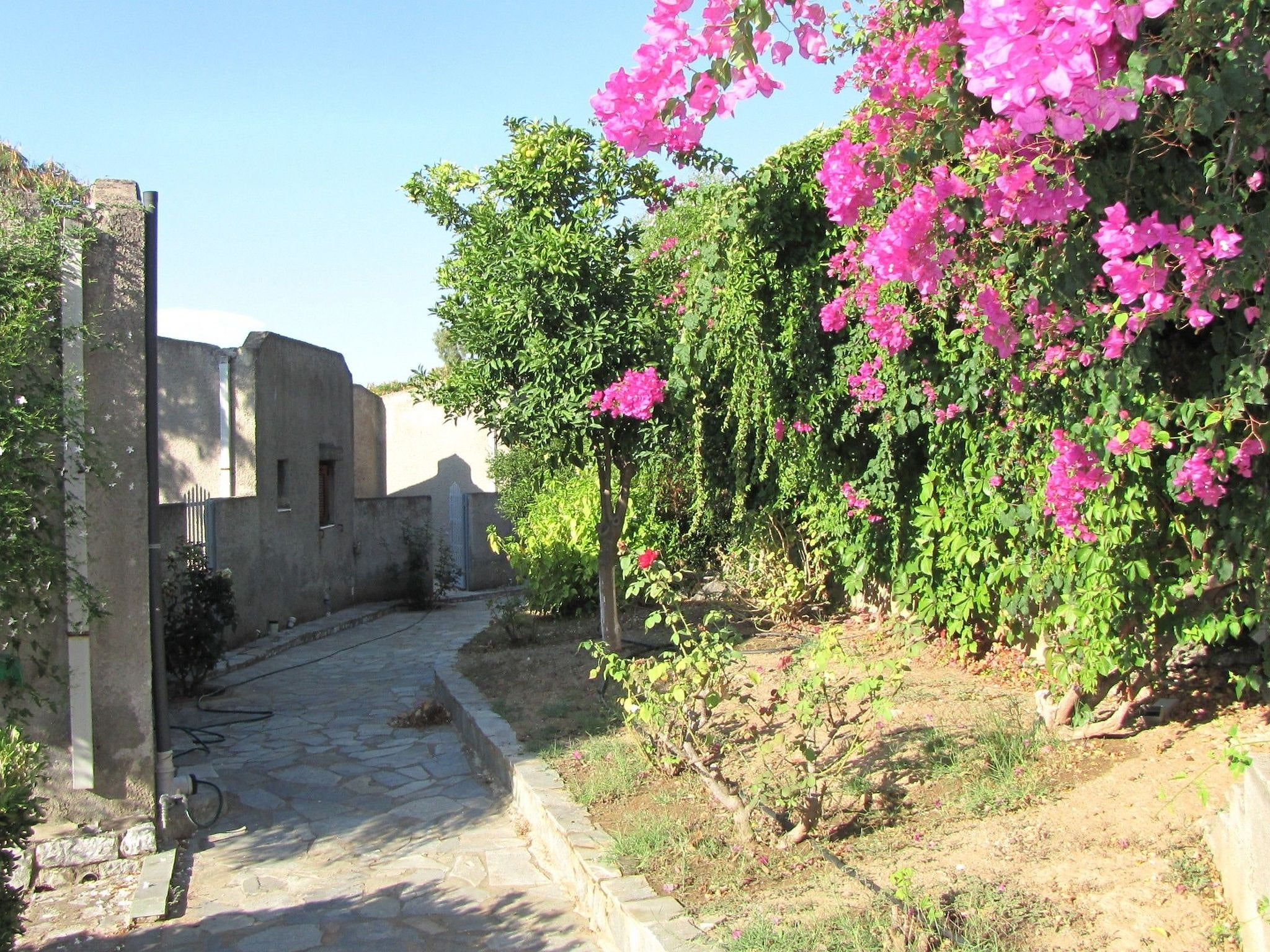 Bungalows für 2-4 Pers. mit Meerblick