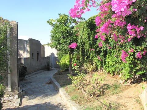 Bungalows für 2-4 Pers. mit Meerblick