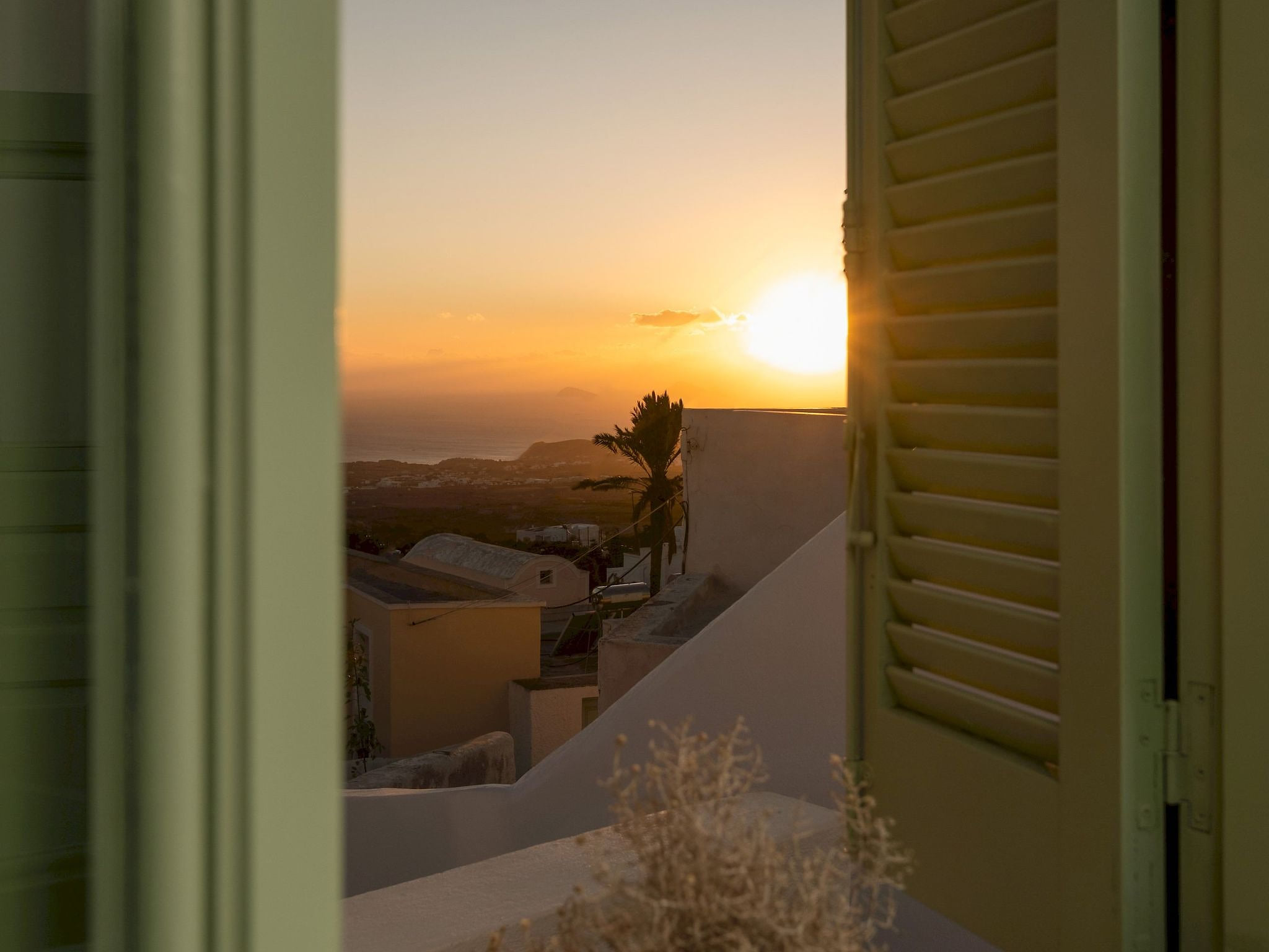 Über White Orchid Studio