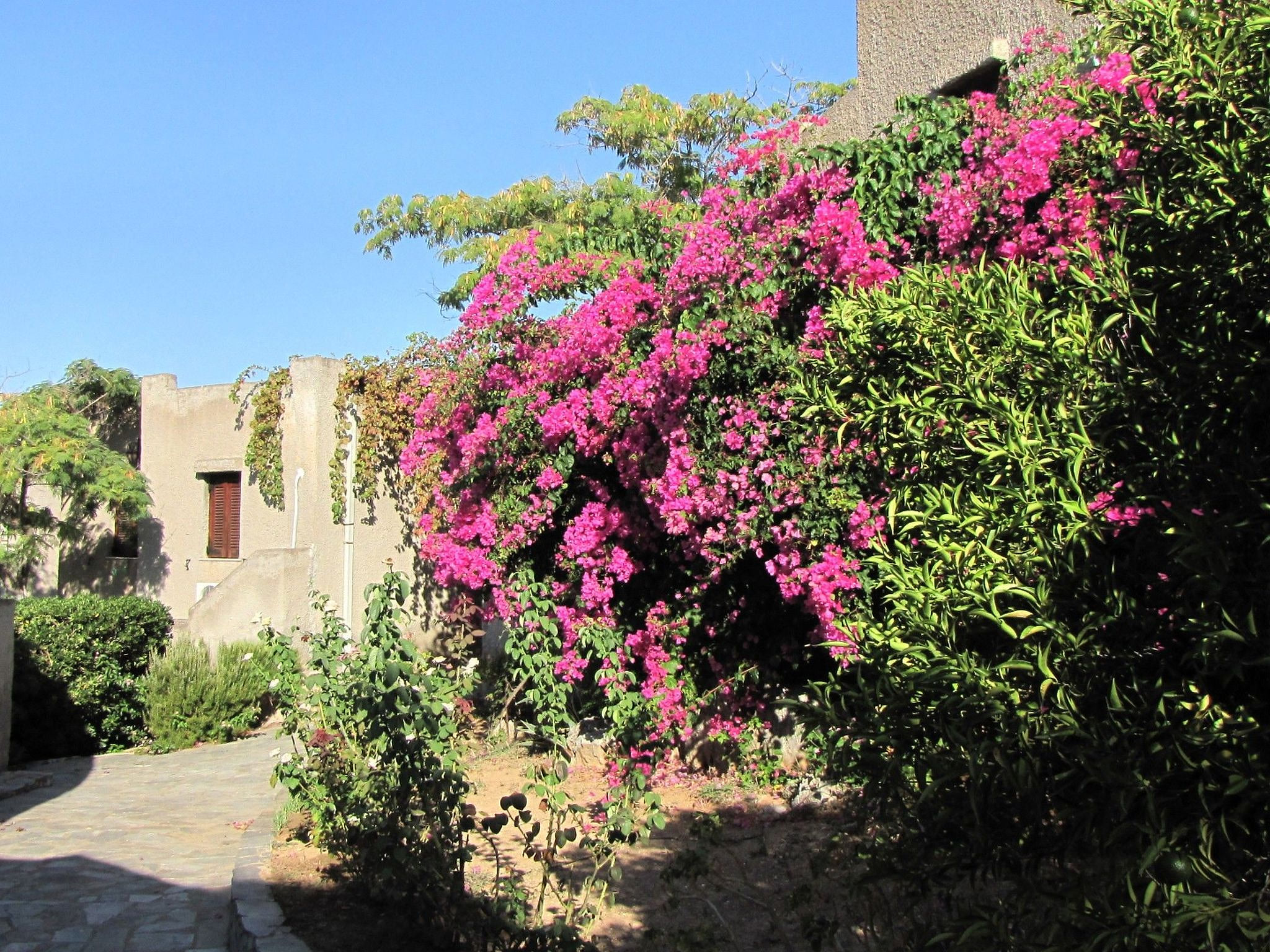 Bungalows für 2-4 Pers. mit Meerblick