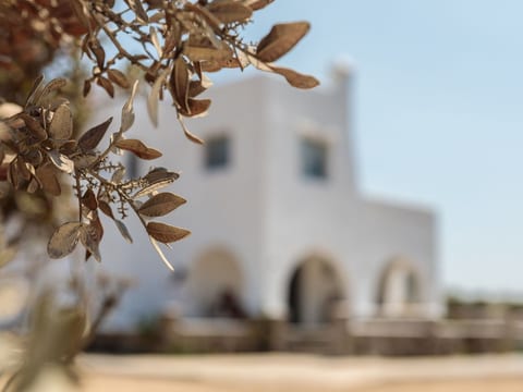 Villas Vaya auf Naxos mit Whirlpool für 7 Pers.