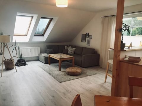 2-4 Personen mit Hund