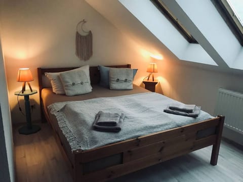 2-4 Personen mit Hund