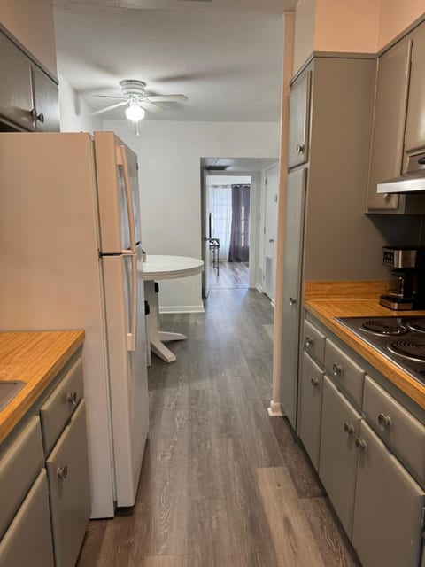 Lake Eola view 1 bedroom Thornton Park