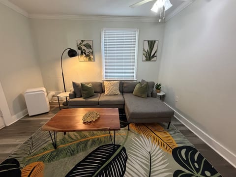 Thornton park paradise 1 bedroom Lake Eola